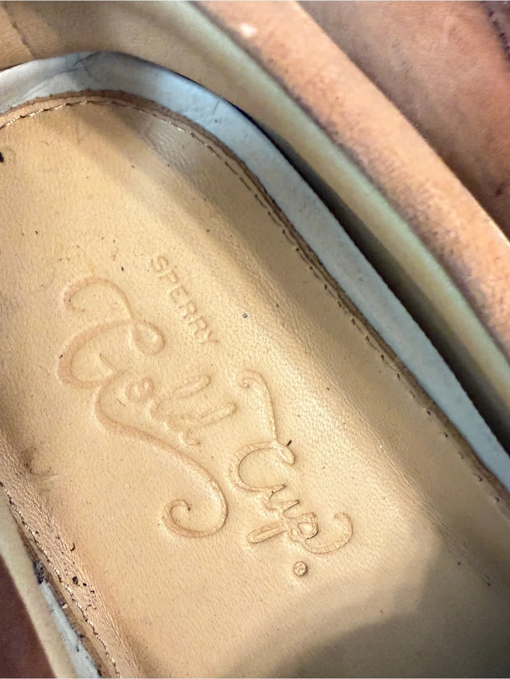 Sperry Men's Leather Boat Shoes in Brown/Tan